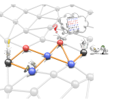 De novo network enrichment