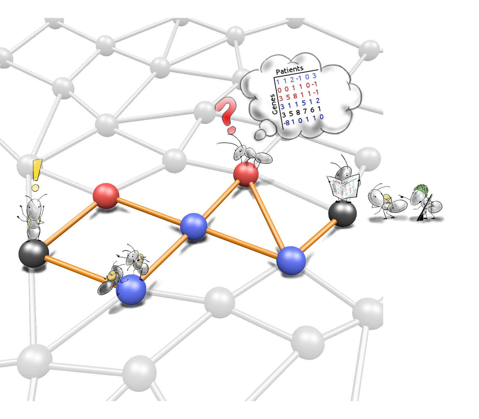 De novo network enrichment