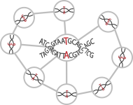 Network-Based Epistasis Detection