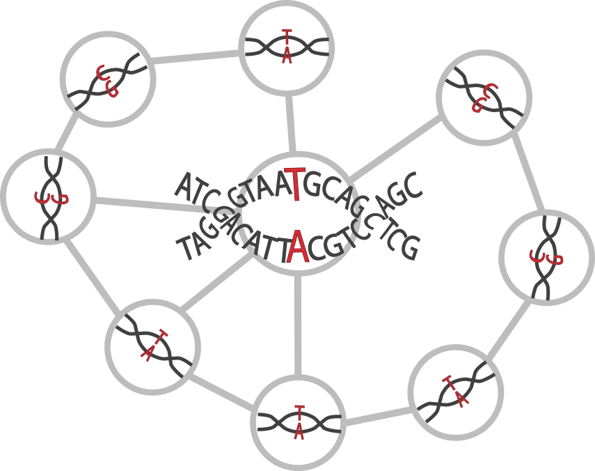 Network-Based Epistasis Detection