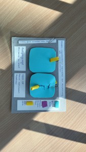 Hands-On Exercise in the &ldquo;Medicine 1&rdquo; Lecture: Students Develop Simulation Models of Urinary Bladder Valves