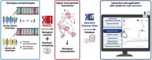 Neues KI-Tool NeEDL enthüllt verborgene genetische Interaktionen bei Krankheiten