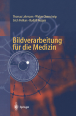 Quantitative Analyse der Stimmlippen